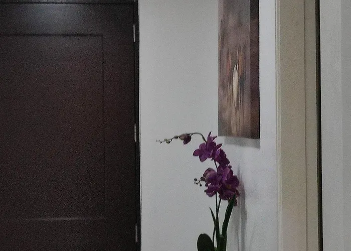 Hotel Experience Ocean View In The Heart Of Manila, Enjoy Free Access To The Pool, Sauna, Massage Promo In Prime Location Near The Us Embassy, Naia, Makati, Bgc, Mall Of Asia, And Chinatown Is A Limited-time Offer, Book Now Manila